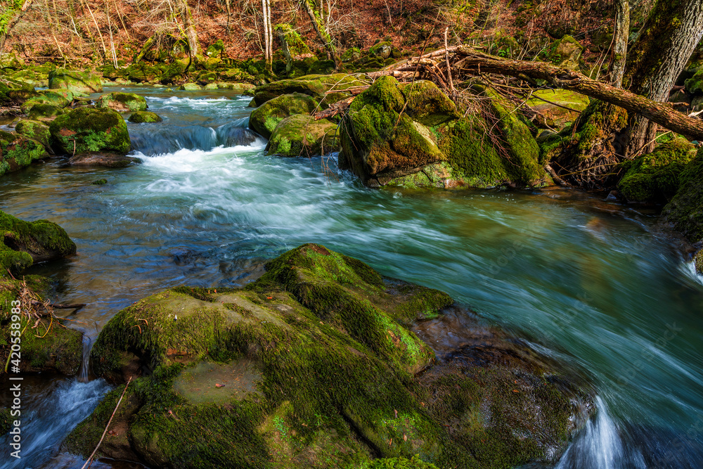Obraz premium The rapids in the lower reaches of the Prüm near Irrel in the Eifel, Germany..The Irrel waterfalls of the Prüm.
