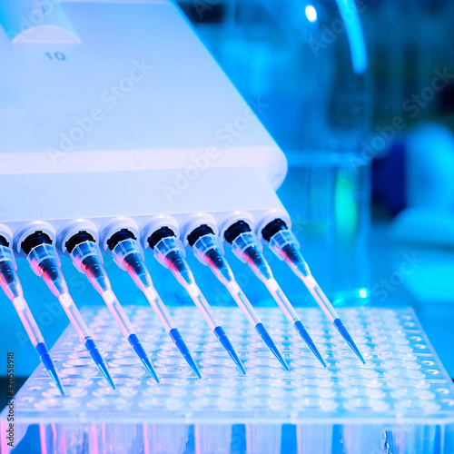 DNA amplification assay