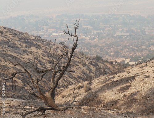 Burnt Hills