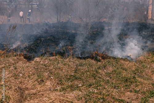 Burning grass and trees. Reporting shot from the fired place.