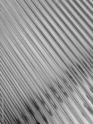 Galvanised zinc roof panel