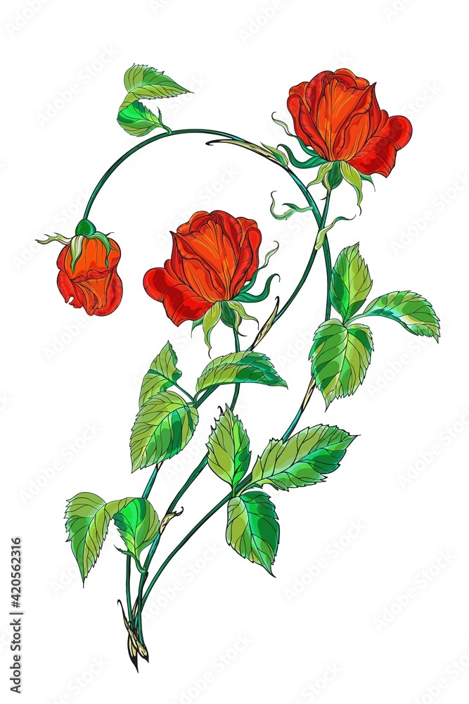 Flower arrangement with red rose flowers. Red Rose. Flower arrangement with red rose flowers. Red Rose.