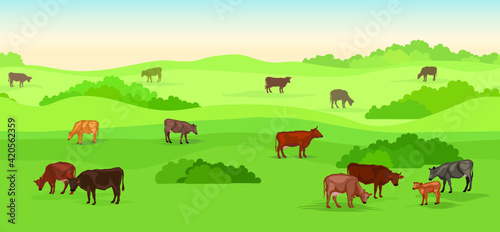 Rural dairy farm landscape with cows over seamless panoramic horizon. Hills, meadows, trees and fields skyline. Summer nature background. Pasture grass for cows.