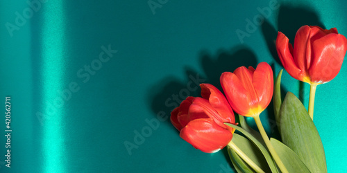Spring red tulips bunch on green metallic background. Mothers day, womens day backdrop