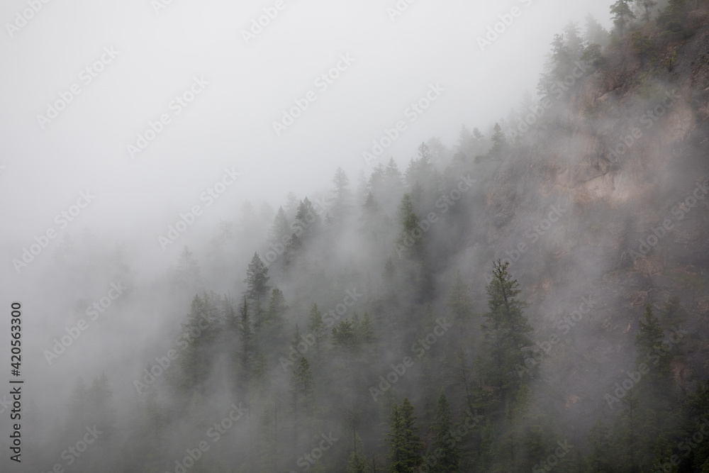 Morning fog on a spring morning in the mountains Morning fog on a spring morning in the mountains