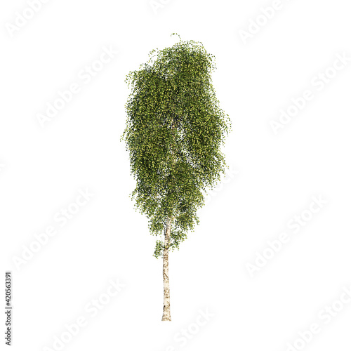 Arboles para post-produccion de proyectos de arquitectura