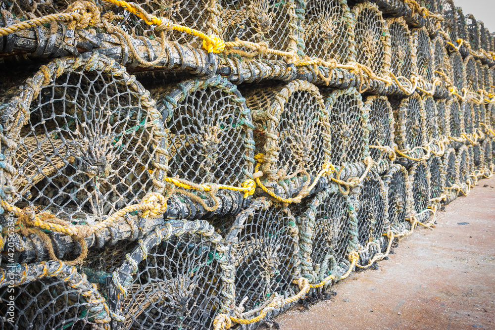 Rows of lobster pots on the quayside