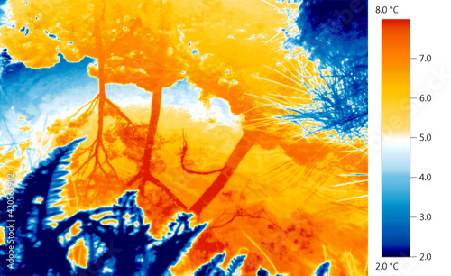 Thermal imaging thermogram of global warming of natural environment, lake, plants. photo