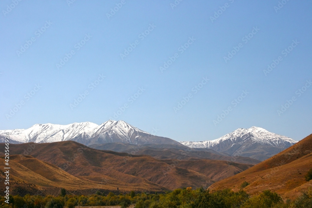 Mountain landscape on a sunny summer day. Snowy peaks, a mountain gorge with green grass and trees. Kyrgyzstan,
