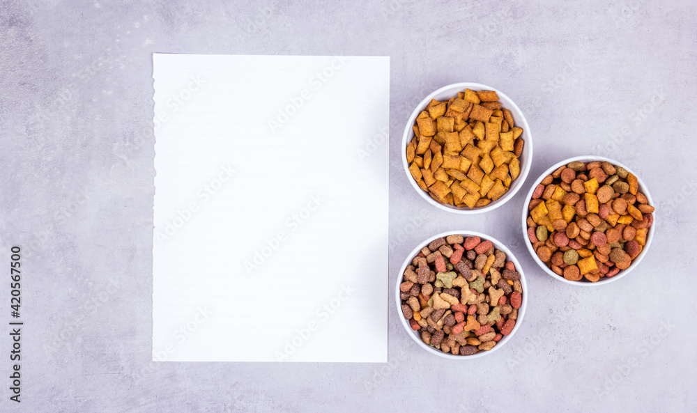 Diet for animals. Bowls with cat food copy space. Blank sheet of paper and dry food
