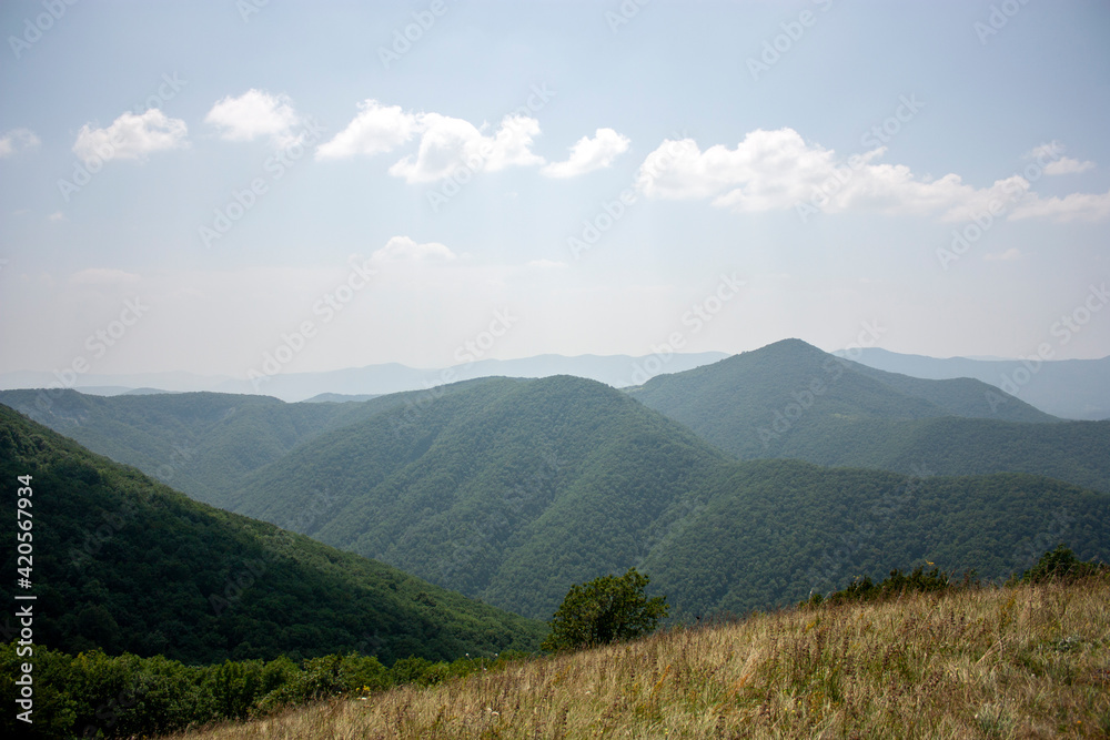 View of the mountains covered with green forest. Trees grow on the slopes of the mountains on a summer day. Clouds in the blue sky over green mountains on a sunny day.