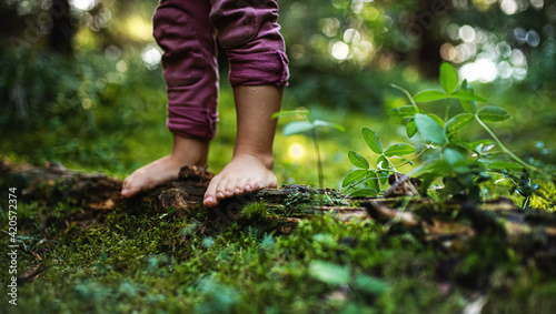 Bare feet of small child standing barefoot outdoors in nature, grounding concept.