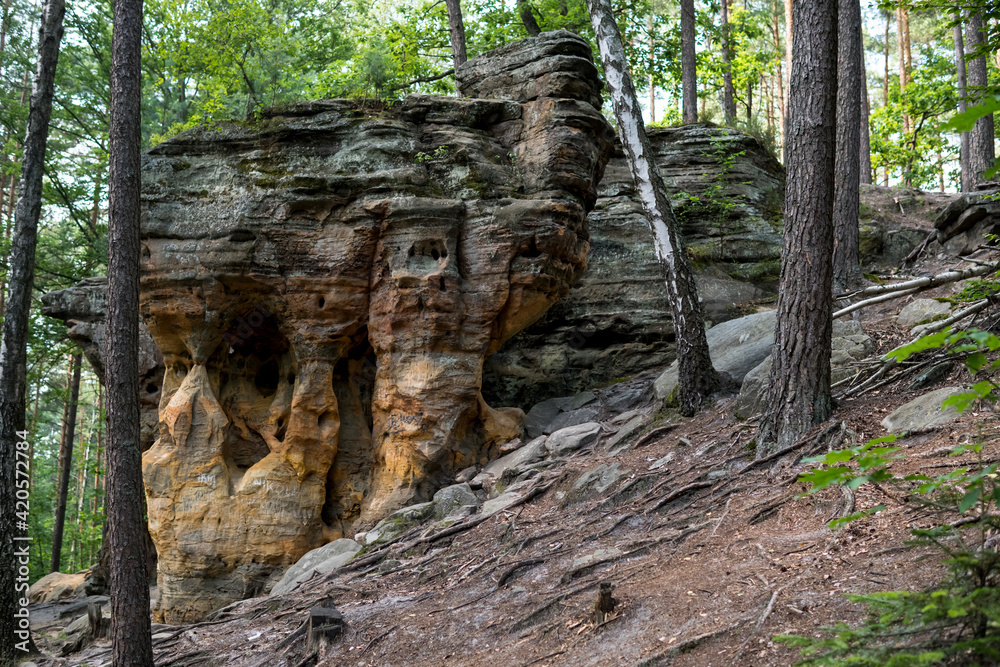 Fototapeta premium rock formation made from sandstones inside of a forest