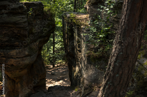 path between rock formation made from sandstones inside of a forest