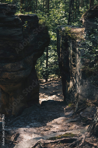 path between rock formation made from sandstones inside of a forest
