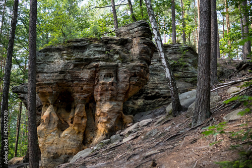 rock formation made from sandstones inside of a forest