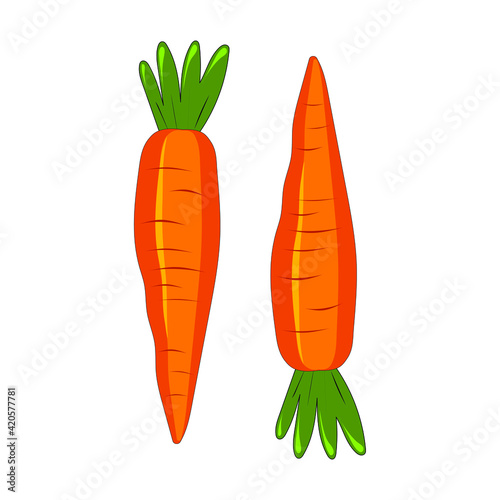 Cute carrot isolated on white background. Vegetables with carotene. Illustration for printing in grocery online stores, children's decor. Vector graphics.