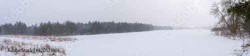 Snowfall and blizzard in the winter forest and field. Trees and dry grass in the snow. Winter nature panoramic landscape