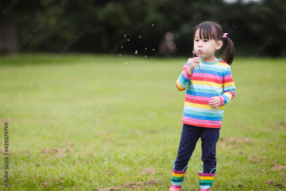 young girl blowing dandelion in the summer garden morning young girl blowing dandelion in the summer garden morning