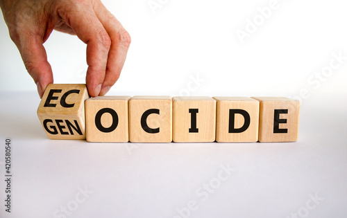 Ecocide or genocide symbol. Businessman turns a cube and changes the word genocide to ecocide. Beautiful white background, copy space. Business, ecological and genocide or ecocide concept. photo