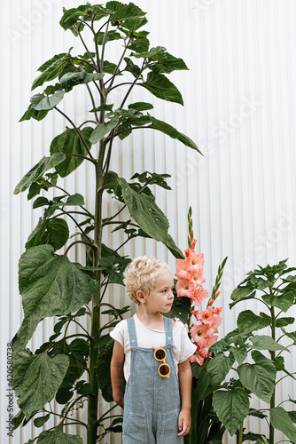 Toddler with sunglasses in front of flower garden with sunflowers and gladiolus