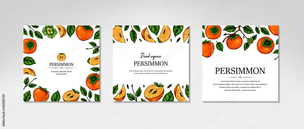 Set of hand drawn colorful persimmon design. Vector illustration in colored sketch style.