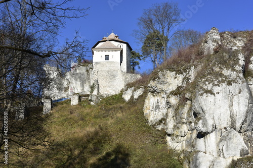 Zamek w Ojcowie photo
