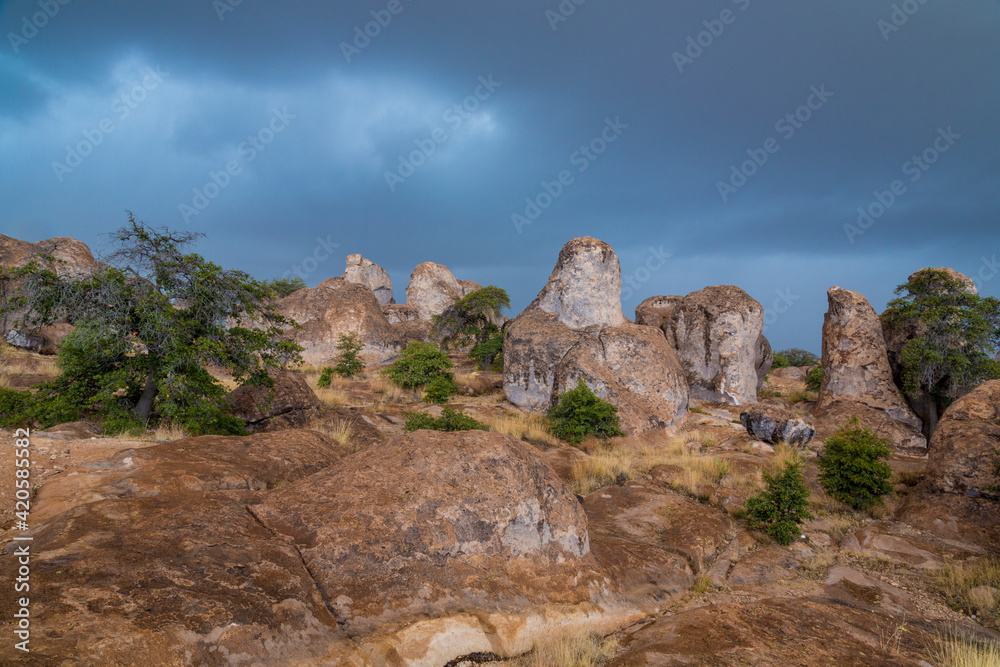 USA, New Mexico, City of Rocks State Park. Rain clouds over park.