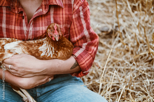 chicken hug photo