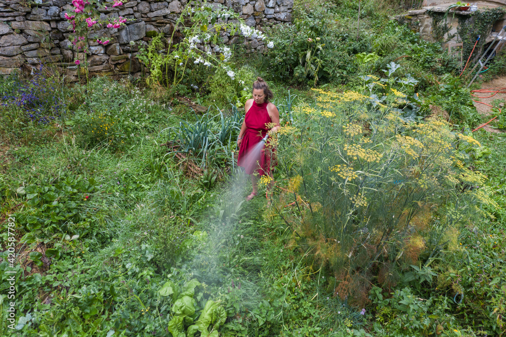 woman tending vegetable garden