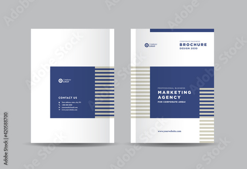 Business Brochure Cover Design or Annual Report and Company Profile Cover or Booklet and Catalog Cover 