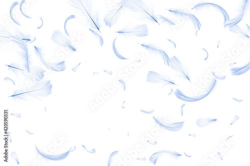 Feather soft. Pastel angel feather closeup texture falling on white background for pattern wallpaper. Fashion color trends spring summer.