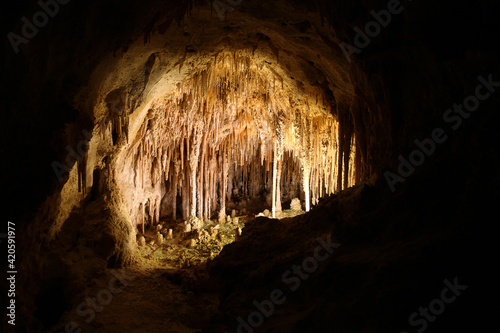 Carlsbad Caverns National Park located in the Guadalupe Mountains of southeastern New Mexico.