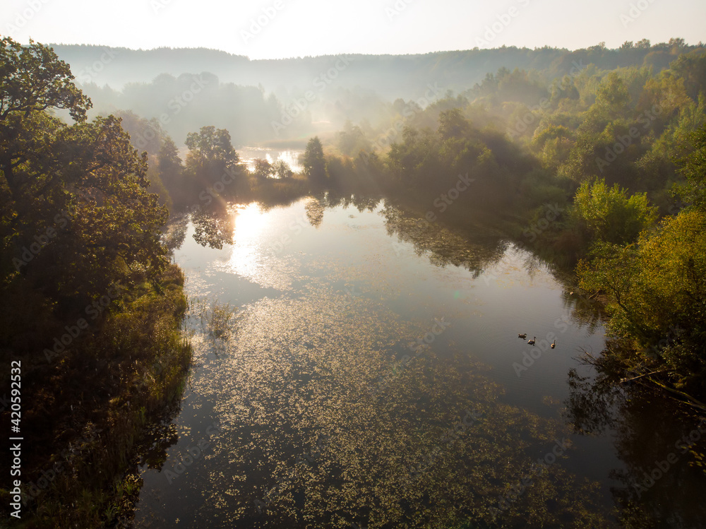 Aerial early morning view of trees and river. Beautiful foggy forest scene in autumn with orange and yellow foliage.