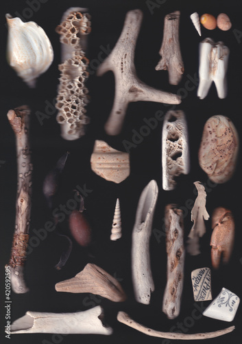 Collection of beach finds, scan photography photo