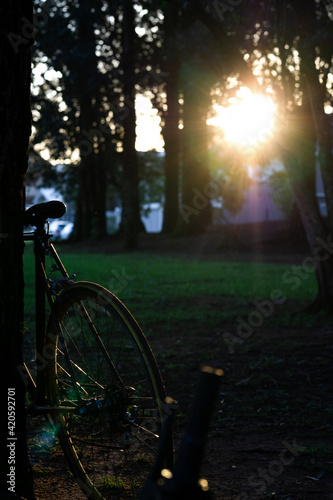 bike in the park