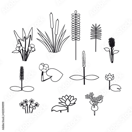Outline silhouettes of water flowers and plants isolated