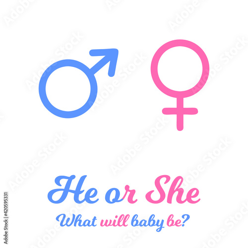 Blue and pink gender signs. Baby boy or girl coming soon. Gender reveal party invitation card or banner. Vector flat illustration.