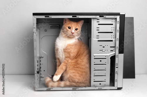 red cat sits inside an empty computer case
