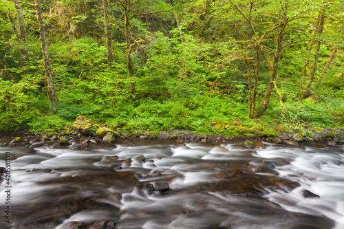 USA, Oregon, Columbia River Gorge. View of Tanner Creek.