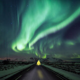 Person in the middle of the road looking at northern lights.