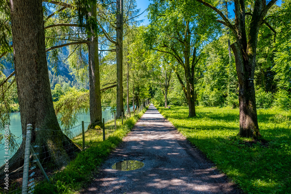 Footpath with trees and river - Interlaken, Switzerland Footpath with trees and river - Interlaken, Switzerland