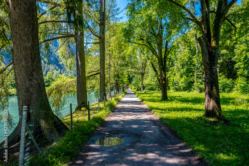 Fototapeta Naklejka Na Ścianę i Meble -  Footpath with trees and river - Interlaken, Switzerland