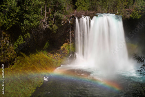 USA, Oregon. McKenzie River forms Koosah Falls.