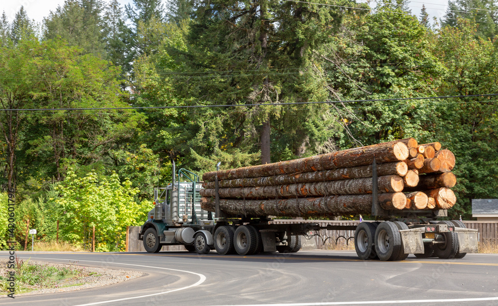 USA, Oregon, Gaston. Truck filled with logs.