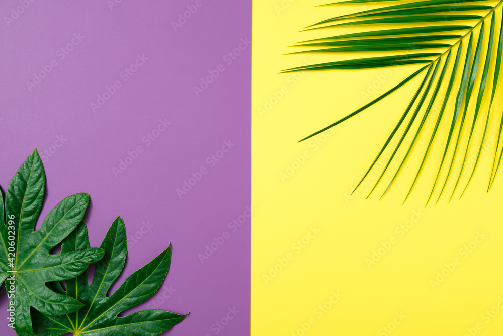 Tropical palm against purple and yellow paper background. Minimal flatlay summer composition.