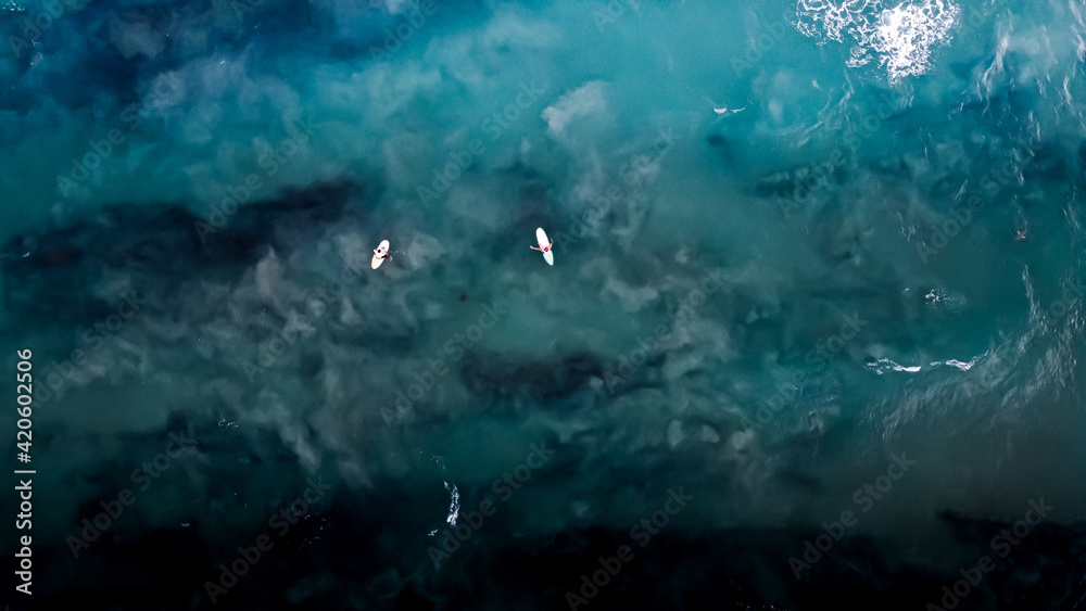 custom made wallpaper toronto digitalVenus Surf