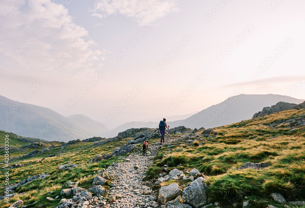 custom made wallpaper toronto digitalFemale walker at sunrise climbing up to Scafell Pike from Wasdale.