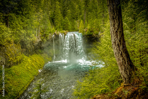 USA  Oregon  McKenzie River. Koosah Falls landscape.