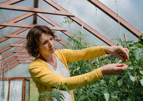 Woman Working In Hothouse